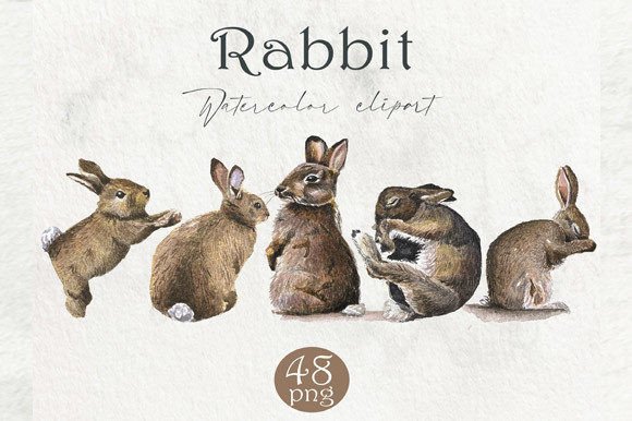 Download Watercolor Rabbit, Forest Animals PNG - Forest animals Collection