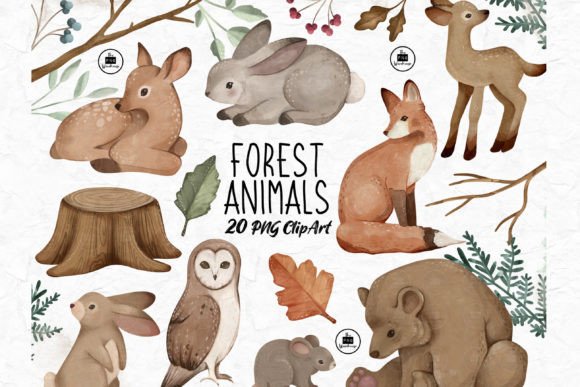 Download Forest Animals - PNG Clipart Set - Forest animals Collection