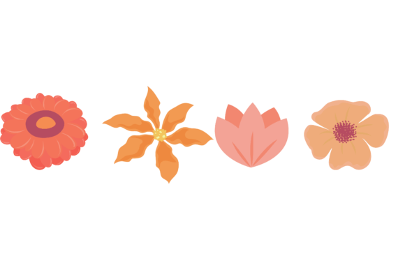 Download Flower Beautiful Collection Design - Design Collection